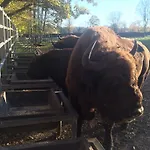 Letniskowy Na Mazurach