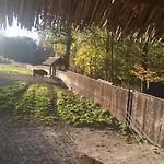 Letniskowy Na Mazurach * Wydminy