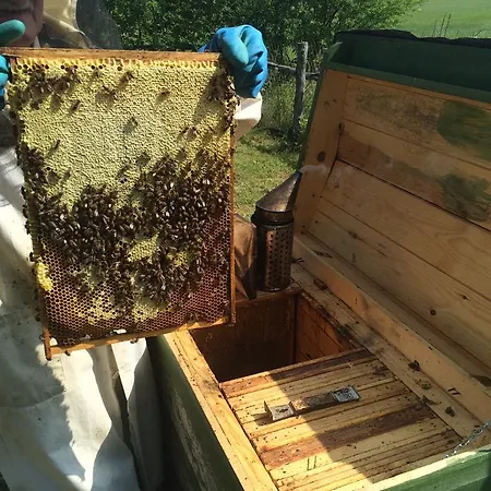 Letniskowy Na Mazurach *