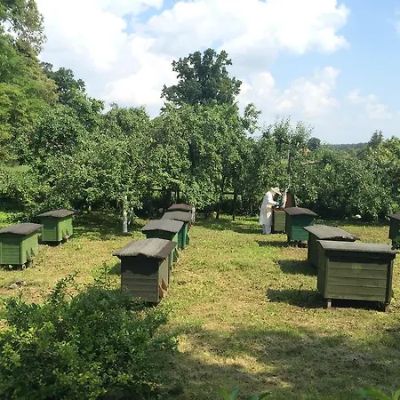 Letniskowy Na Mazurach Semesterbostad