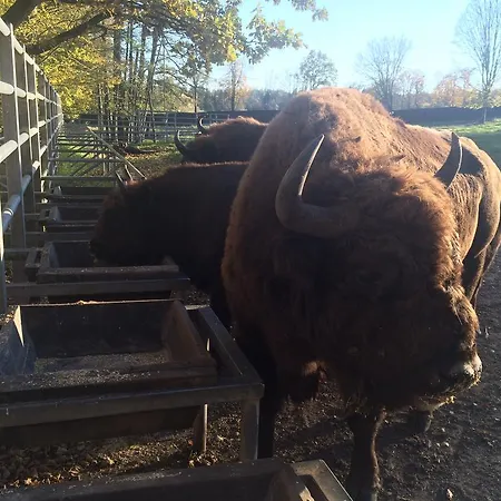 Letniskowy Na Mazurach