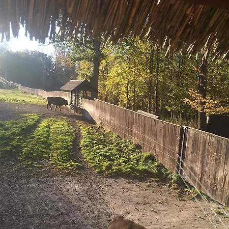 Domek Letniskowy Na Mazurach * Wydminy